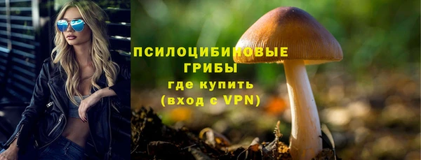 прущая мука Абаза