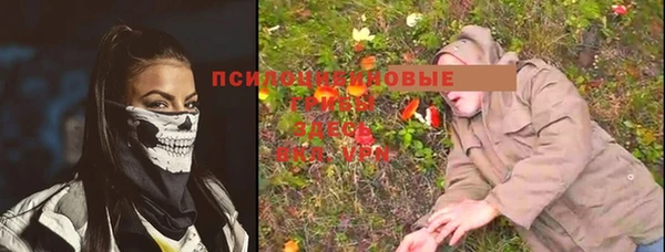 прущая мука Абаза