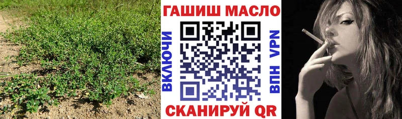 Дистиллят ТГК концентрат  маркетплейс формула  Александровск-Сахалинский  купить   гидра ссылка 
